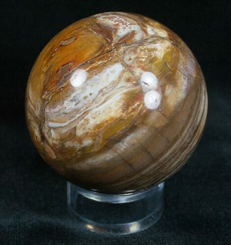 Colorful Petrified Wood Sphere #6810